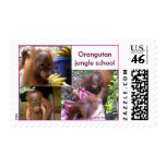 Orangutan Babies Jungle School Recess stamps