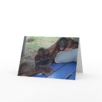 Orangutan Babies Need a Mommy cards