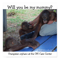 Orangutan Babies Want a Mommy posters