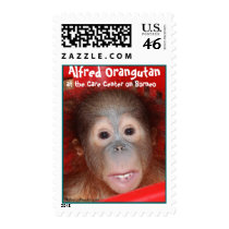 Orangutan Baby Alfred Postage Stamp
