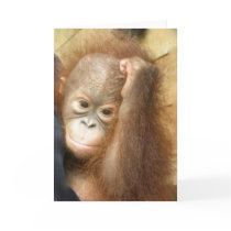 Orangutan Baby Card