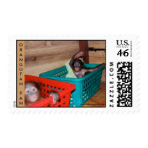 Orangutan Baby Nursery postage by Rebecca_Reeder Orangutan Baby Nursery postage