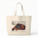 Orangutan bags