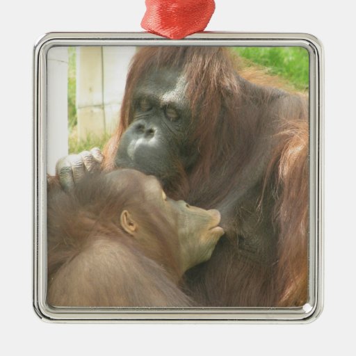 Orangutan Breastfeeding Christmas Tree Ornaments