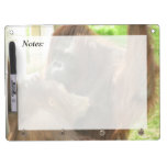 Orangutan Breastfeeding Dry Erase Whiteboard