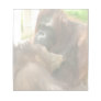 Orangutan Breastfeeding Scratch Pad