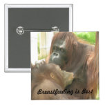 Orangutan Breastfeeding Pinback Button