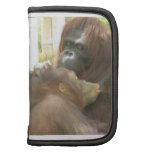 Orangutan Breastfeeding Planner