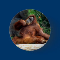 orangutan buttons