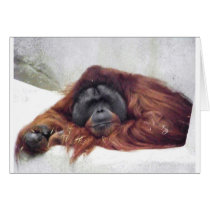Orangutan Card