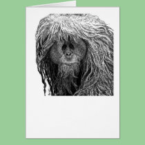 Orangutan Card cards