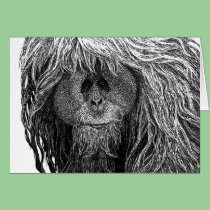 Orangutan Card - Option 2 cards