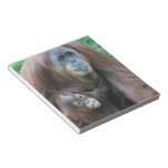 Orangutan Family Notepad