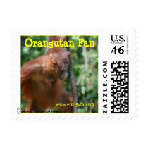 Orangutan Fan postage