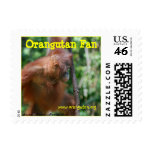 Orangutan Fan Postage Stamps