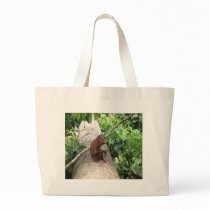Orangutan Forgets bags
