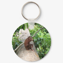 Orangutan Forgets keychains