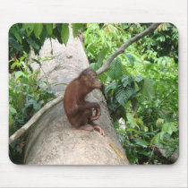Orangutan Forgets mousepads by Little_Fish_Travel Orangutan Forgets mousepads