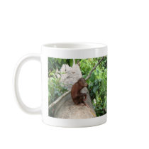 Orangutan Forgets Coffee Mug
