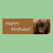 Orangutan Gift Tag business cards