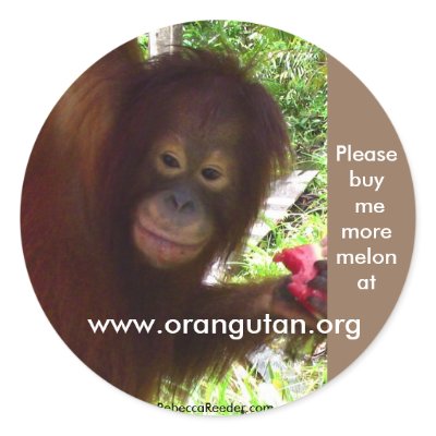 Orangutan goes Ape for Watermelon Round Stickers by Rebecca_Reeder
