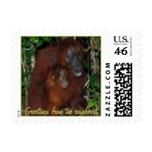 Orangutan Greetings from the Rainforest Stamp