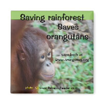 Orangutan Habitat Magnet by Rebecca_Reeder Orangutan Habitat Magnet
