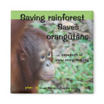 Orangutan Habitat Magnet