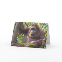 Orangutan Happy Birhtday! cards by Guiltypleasures Orangutan Happy Birhtday! cards
