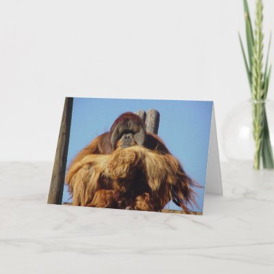 Orangutan Happy Birthday Template Card by postcardsfromtheedge