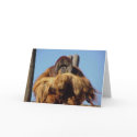 Orangutan Happy Birthday Template Card by postcardsfromtheedge Orangutan Happy Birthday Template Card