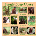 Orangutan Hollywood Wildlife posters by Rebecca_Reeder Orangutan Hollywood Wildlife posters