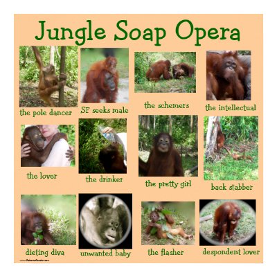 Orangutan Hollywood Wildlife Print by Rebecca_Reeder