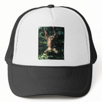 Orangutan in Borneo Trucker Hats