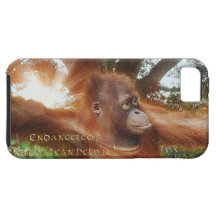 Orangutan in Borneo Jungle Sunlight iPhone 5 Case