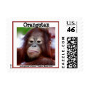Orangutan in Borneo postage