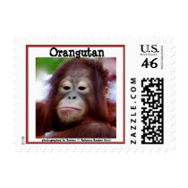 Orangutan in Borneo Postage Stamp