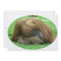 Orangutan Invitation