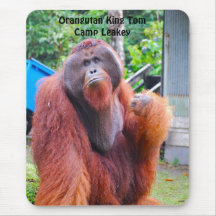 Orangutan King Tom at Camp Leakey Mouse Pads