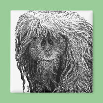 Orangutan Magnet magnets