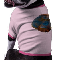 Orangutan Male pet clothing