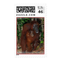 Orangutan mother and baby postage
