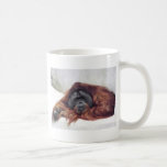Orangutan Mugs