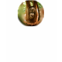 Orangutan Official Fan t-shirts by Rebecca_Reeder Orangutan Official Fan t-shirts
