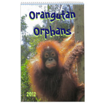 Orangutan Orphans Calendars