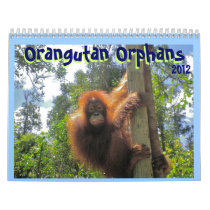 Orangutan Orphans Wall Calendars