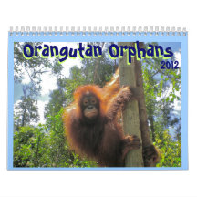 Orangutan Orphans Wall Calendars