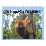 Orangutan Orphans calendars