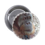 Orangutan Photo Round Button