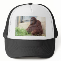 Orangutan Portrait Trucker Hats